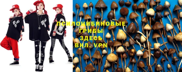 прущая мука Верхний Тагил