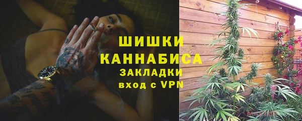 прущие грибы Верхнеуральск