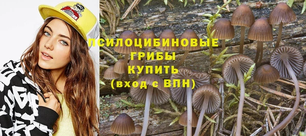 метамфетамин Верея